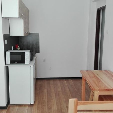 Pokoje Typu Studio Sosnowiec Dış mekan fotoğraf
