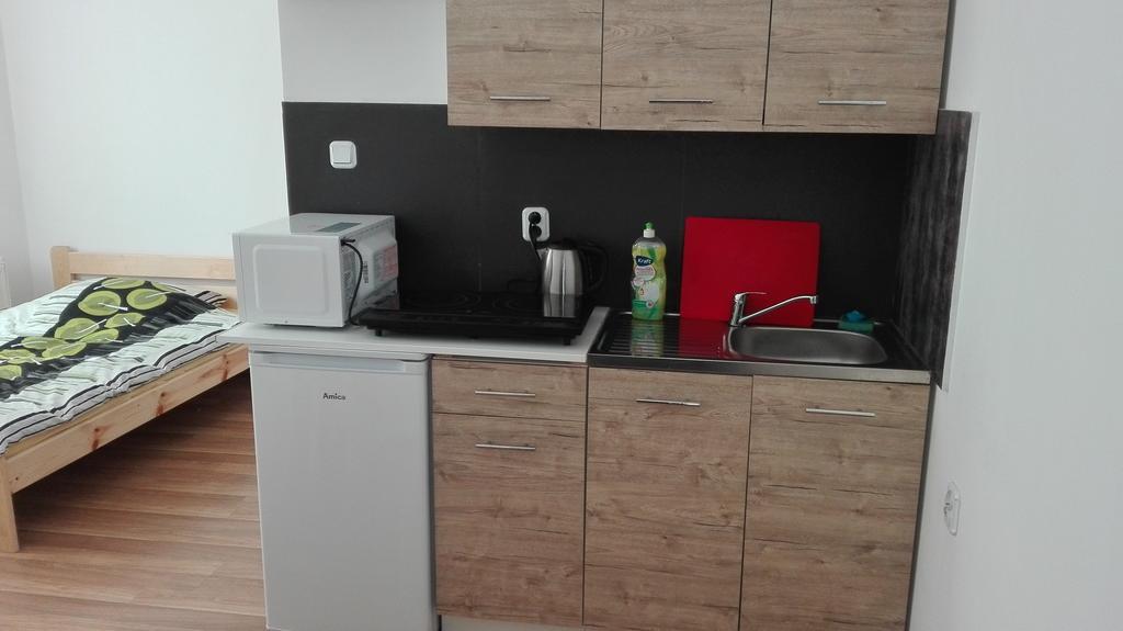 Pokoje Typu Studio Sosnowiec Dış mekan fotoğraf